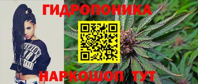 соль курить ск Гай