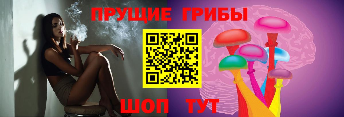 Псилоцибиновые грибы мицелий  где найти   Моздок  Вход с VPN 